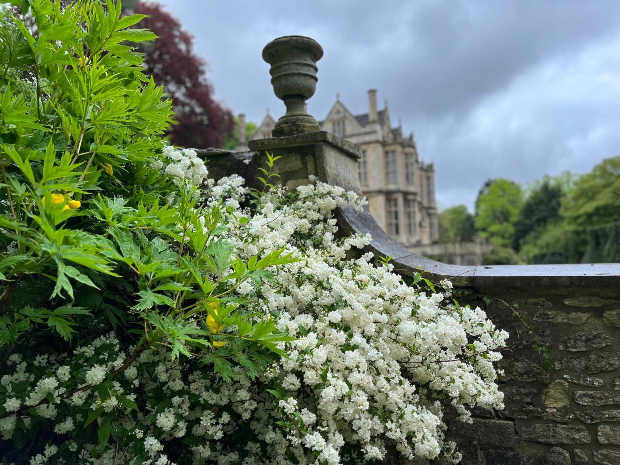 The Hall - Historic Grade I-Listed Jacobean Mansion Bradford-On-Avon Kültér fotó