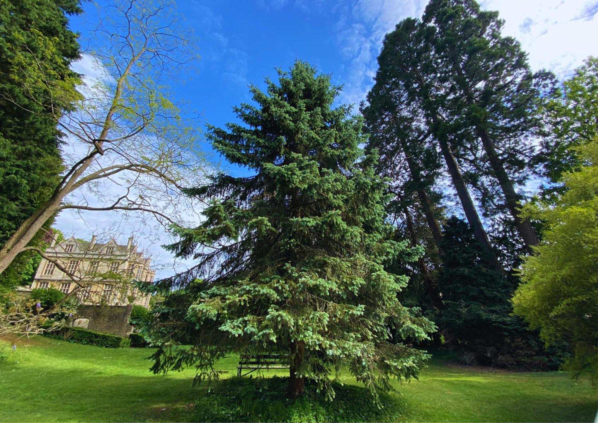 The Hall - Historic Grade I-Listed Jacobean Mansion Bradford-On-Avon Kültér fotó